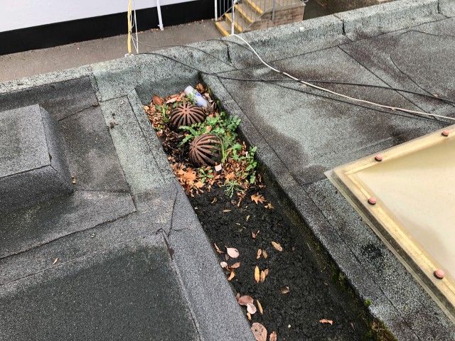 Lockyers Middle School Roof Refurbishment 2684
